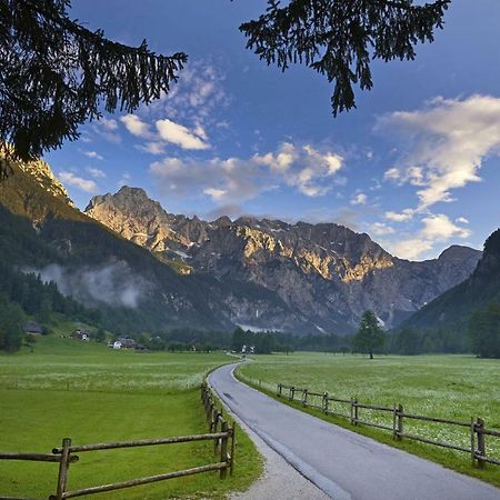 Farm Stay Juvanija Solčava Zewnętrze zdjęcie