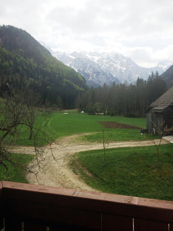 Farm Stay Juvanija Solčava Zewnętrze zdjęcie