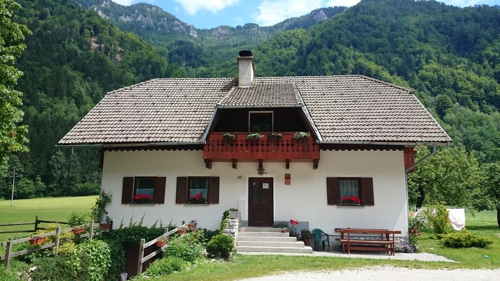 Farm Stay Juvanija Solčava Zewnętrze zdjęcie