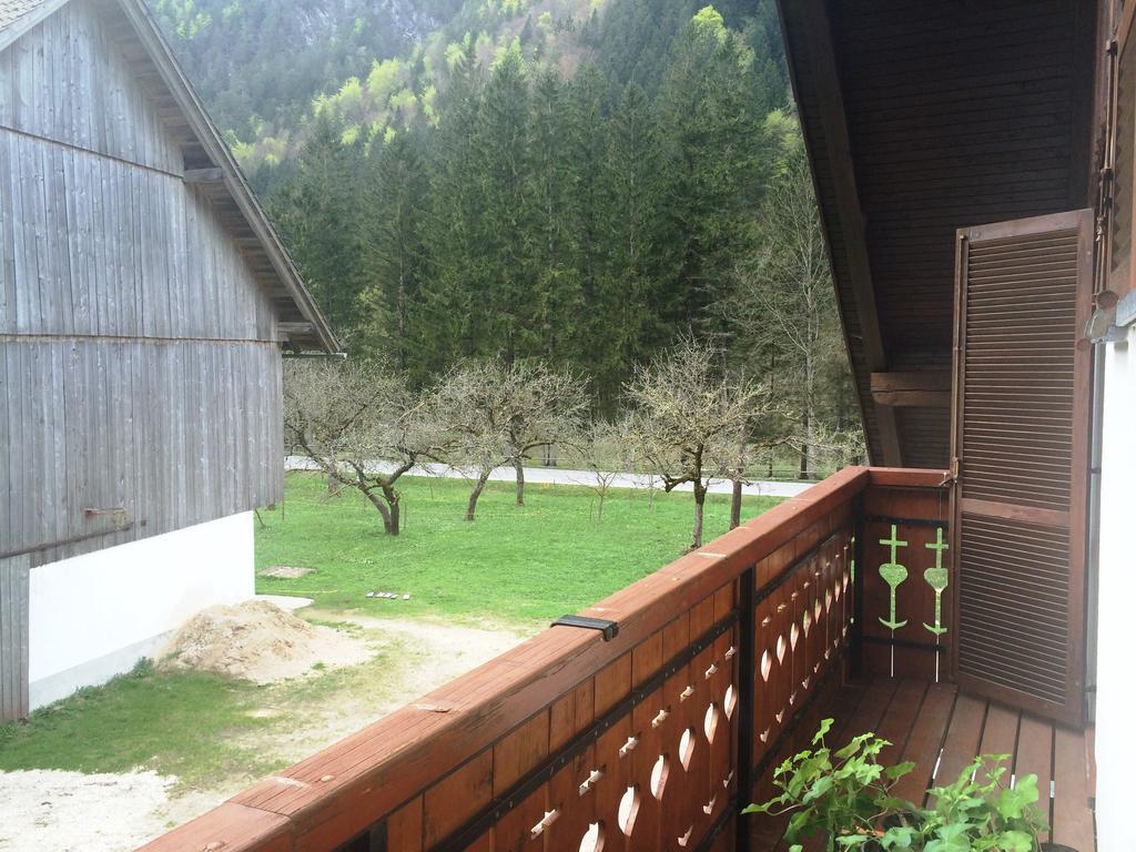 Farm Stay Juvanija Solčava Zewnętrze zdjęcie