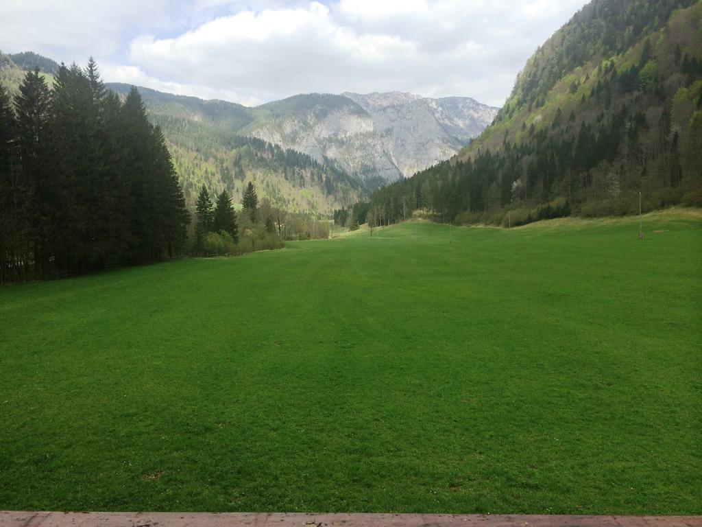 Farm Stay Juvanija Solčava Zewnętrze zdjęcie