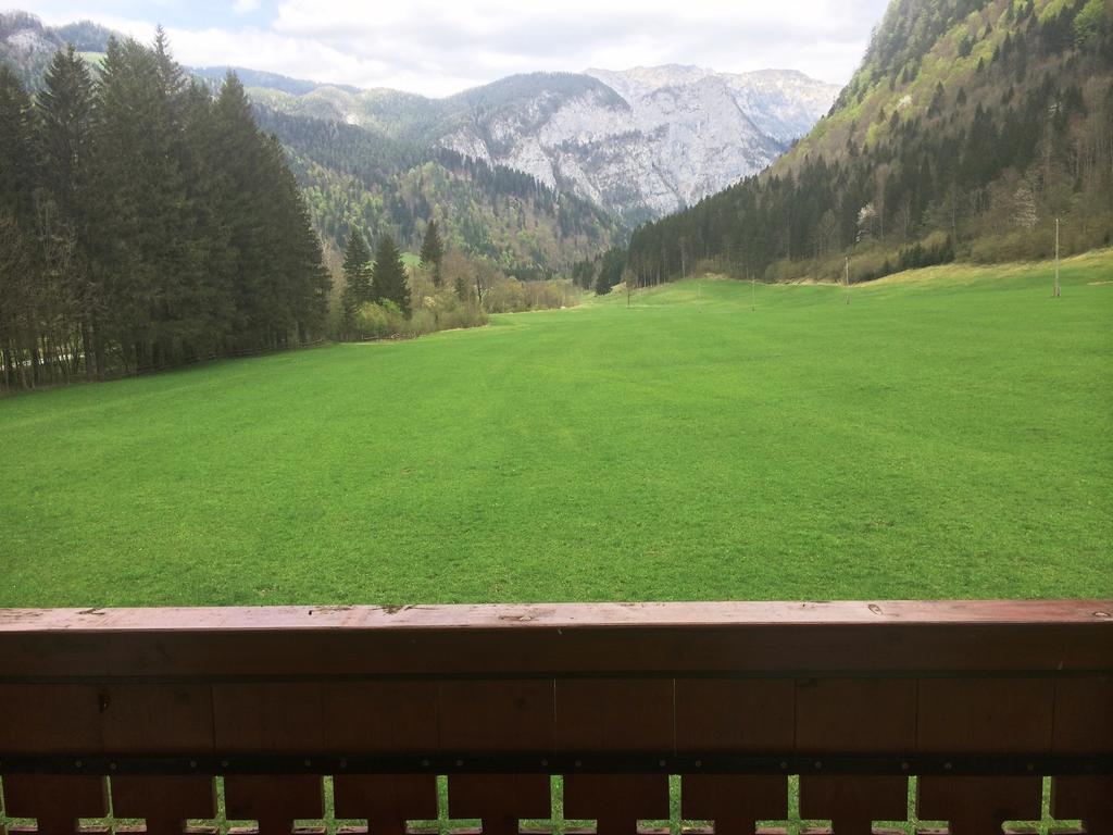 Farm Stay Juvanija Solčava Zewnętrze zdjęcie
