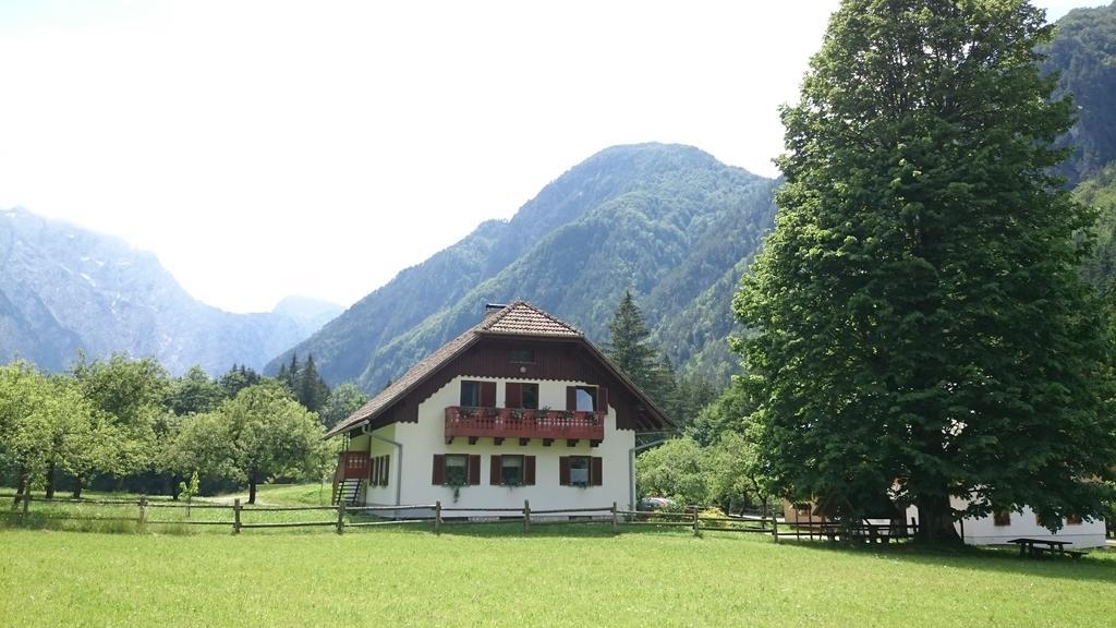 Farm Stay Juvanija Solčava Zewnętrze zdjęcie