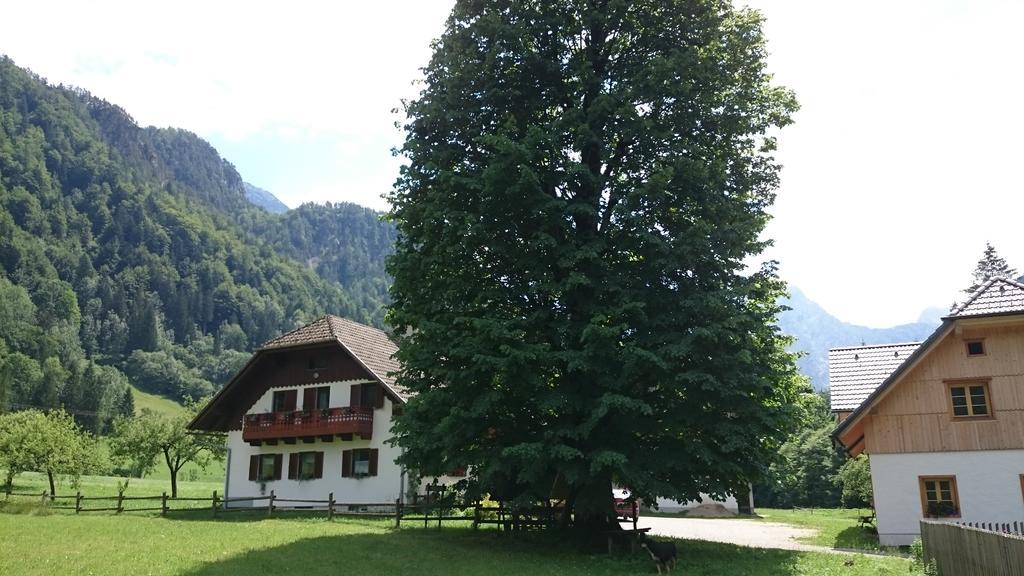 Farm Stay Juvanija Solčava Zewnętrze zdjęcie