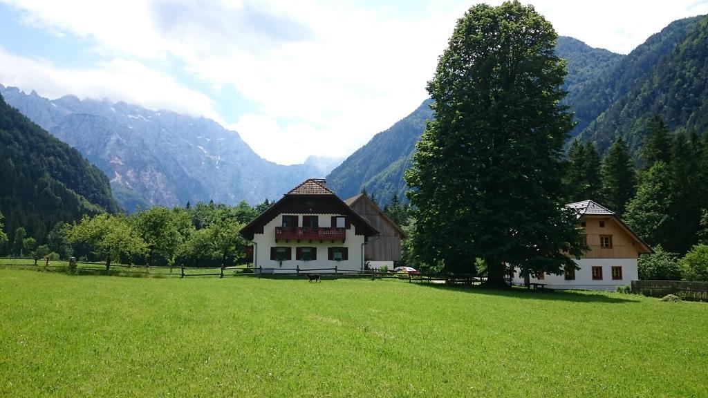 Farm Stay Juvanija Solčava Zewnętrze zdjęcie