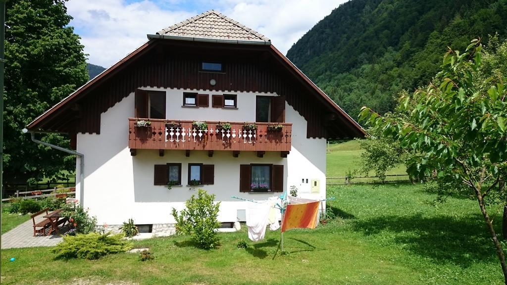 Farm Stay Juvanija Solčava Zewnętrze zdjęcie